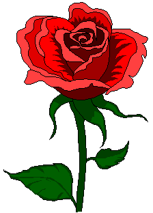 dibuix rosa, imatge sense enllaços