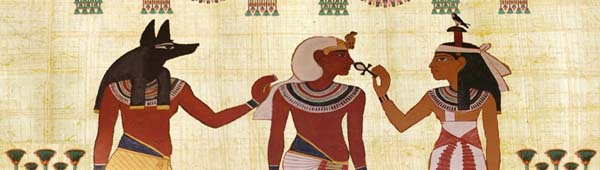 Història dels drets humans